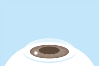 フラップを接着